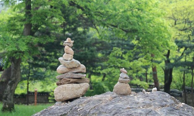 (단상) ‘초심’과 ‘본질’로 돌아가기