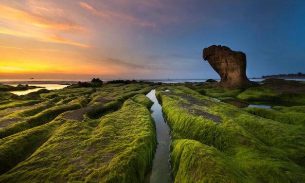 TAM SAM SOM 시장 규모 추정 (2편): 거대한 비전에서 현실적 목표 사이